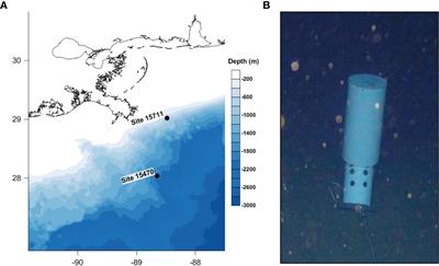 Historic Wooden <mark class="highlighted">Shipwrecks</mark> Influence Dispersal of Deep-Sea Biofilms